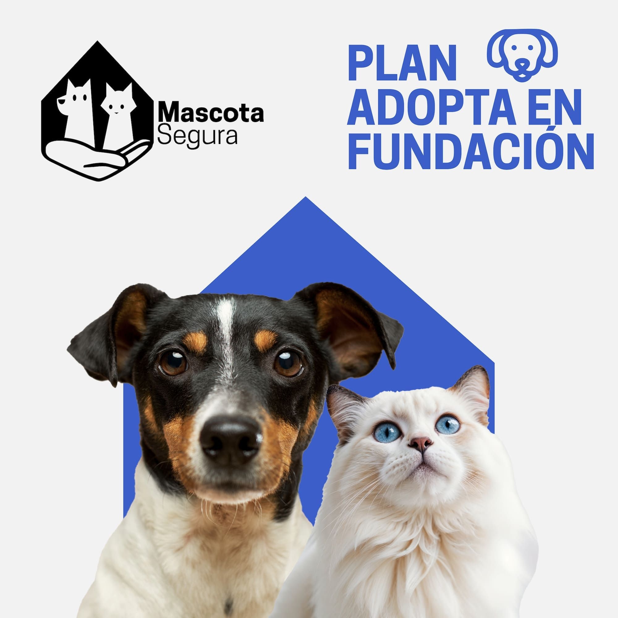 Plan fundación