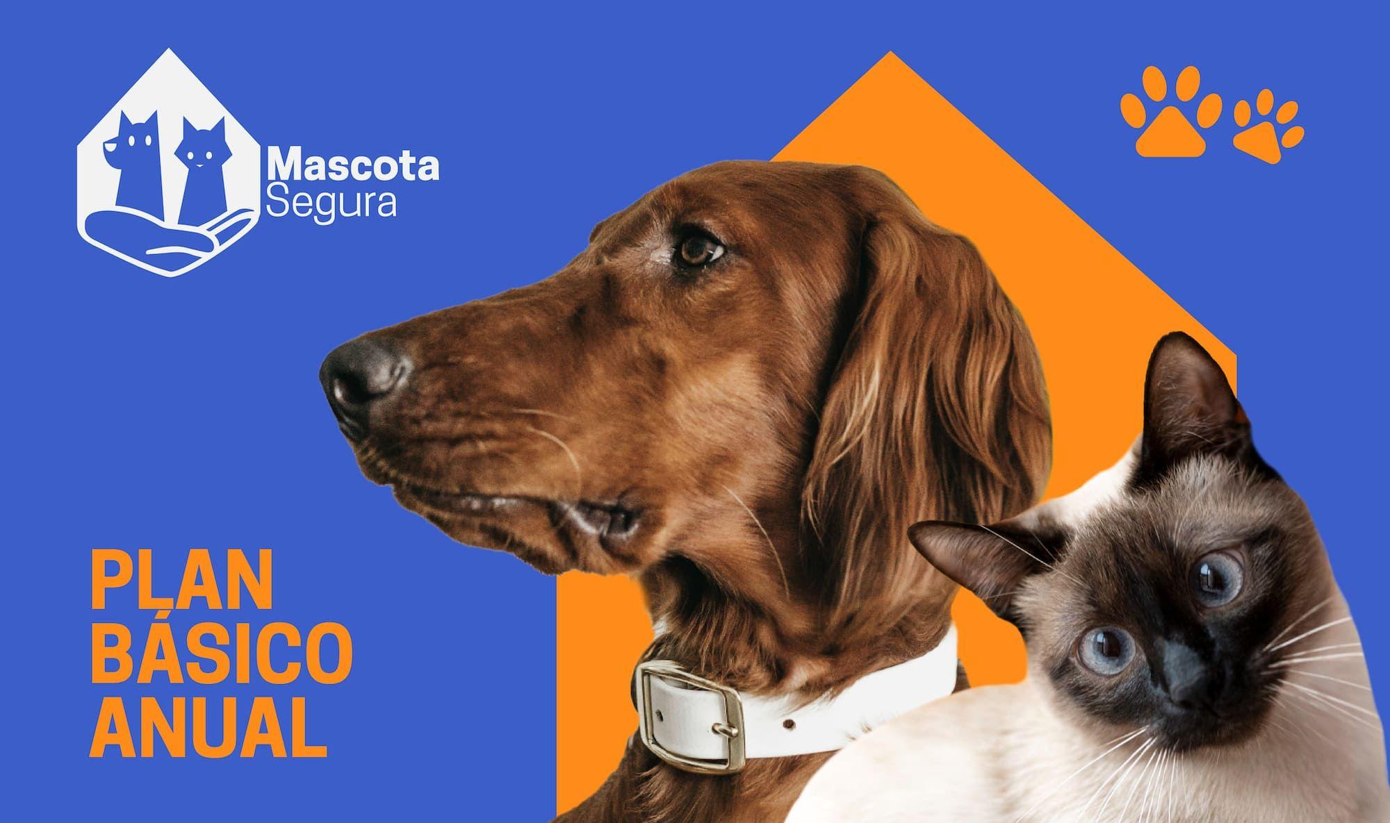 PxB: Mascota Segura Básico