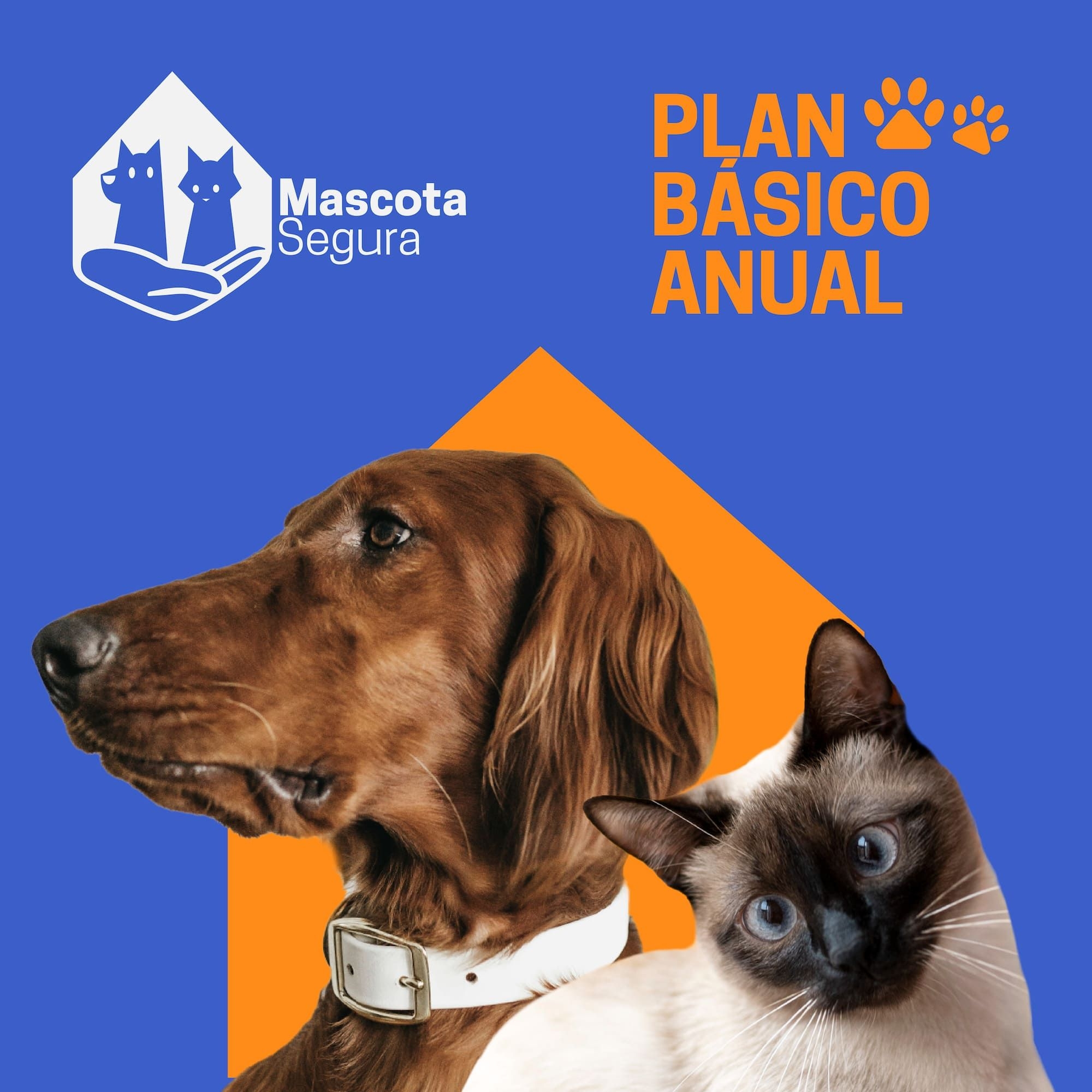 Mascota Segura